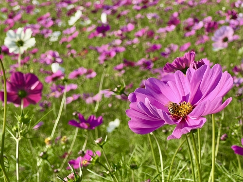 写真 2022-10-23 15 36 32.jpg